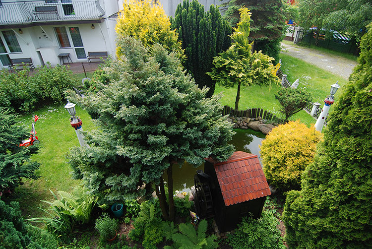 Sarbinowo - Pokojre gościnne Utka, Młyńska 14